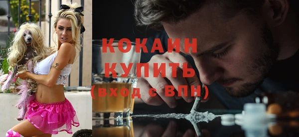 прущие крисы Новокубанск