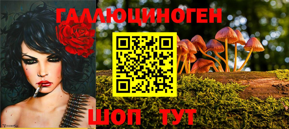 Псилоцибиновые грибы ЛСД  Вход с VPN  Туапсе  Галлюциногенные грибы GOLDEN TEACHER 