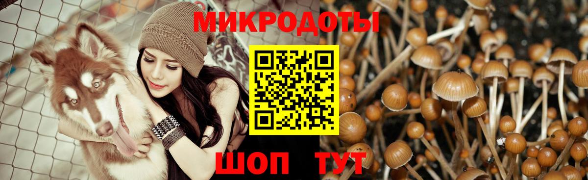 Галлюциногенные грибы мухоморы Туапсе